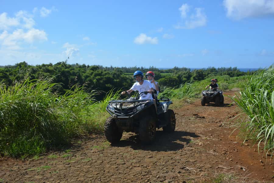 2-Hour Quad Bike Tour of the Wild South of Mauritius - Key points at a glance