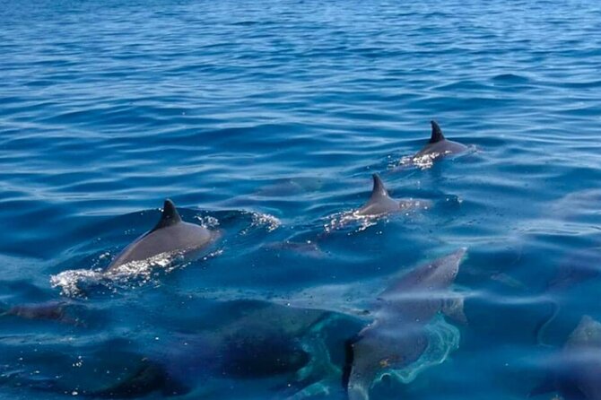 5 island tour all inclusive with Ile aux cerfs and snorkeling - Leaving Trou d’Eau Douce for GRSE Waterfall