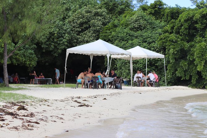 5 island tour all inclusive with Ile aux cerfs and snorkeling - How the guides affect the day