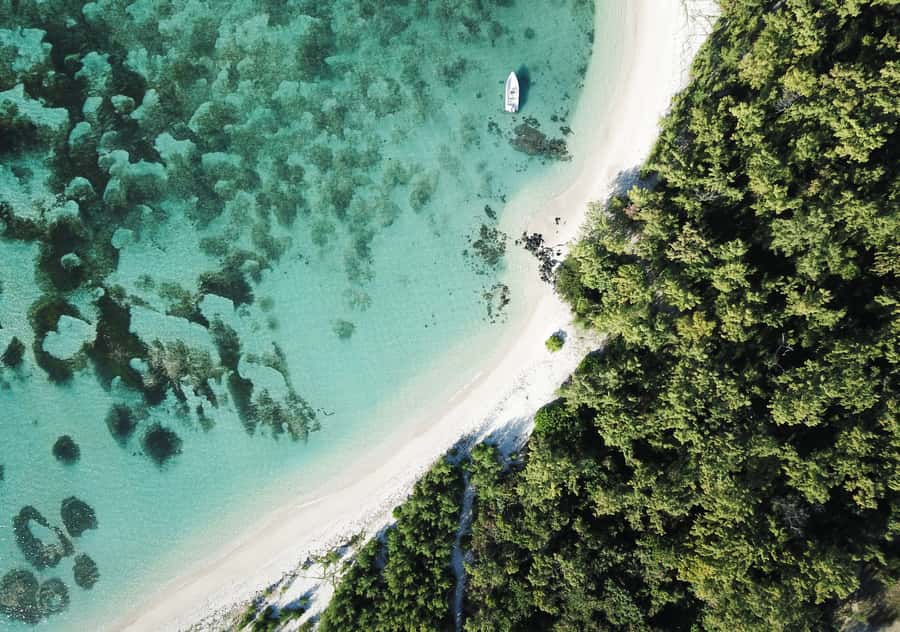 5 Islands Boat Trip, Snorkeling and Lunch on Ile aux Cerfs - Key points at a glance