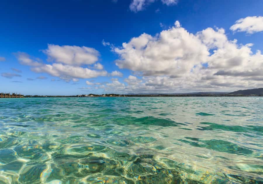 5 Islands Boat Trip, Snorkeling and Lunch on Ile aux Cerfs - Ile aux Phare and Ile de la Passe