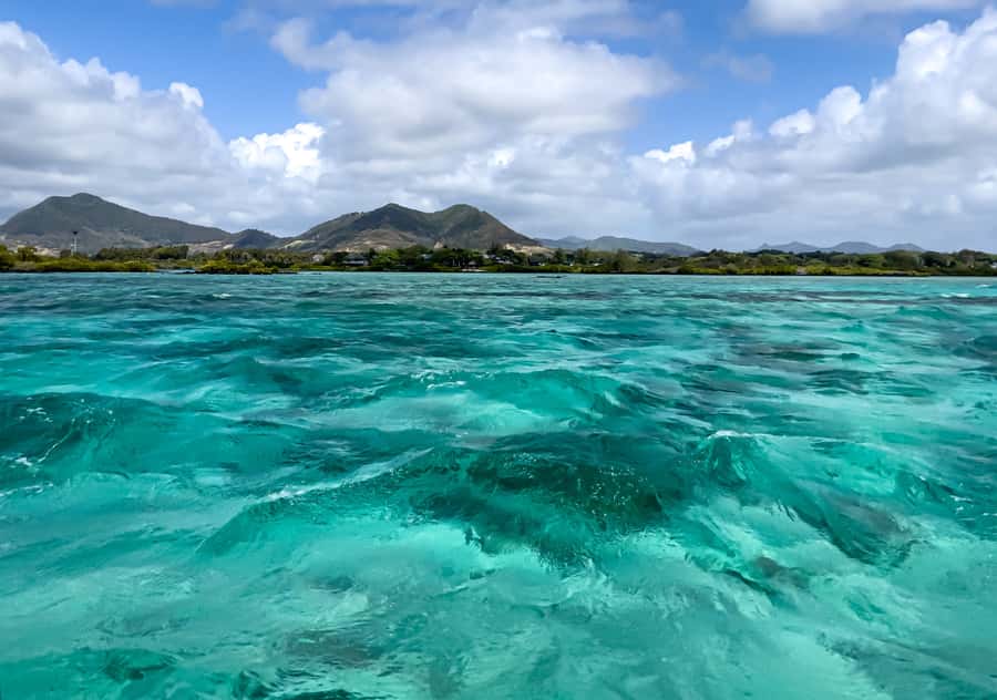 5 Islands Boat Trip, Snorkeling and Lunch on Ile aux Cerfs - Blue Bay Marine Park snorkeling