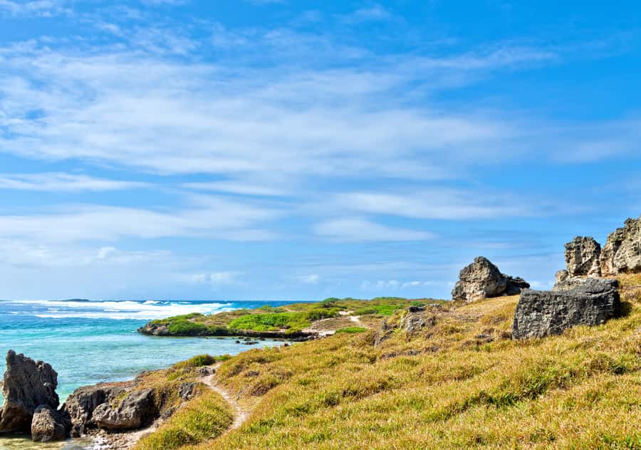 5 Islands Boat Trip, Snorkeling and Lunch on Ile aux Cerfs - Who should book this boat trip?
