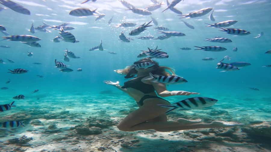 5 Islands Private Speedboat w/ Snorkeling + Lunch & Drinks - Blue Bay Marine Park is the day’s main water stop