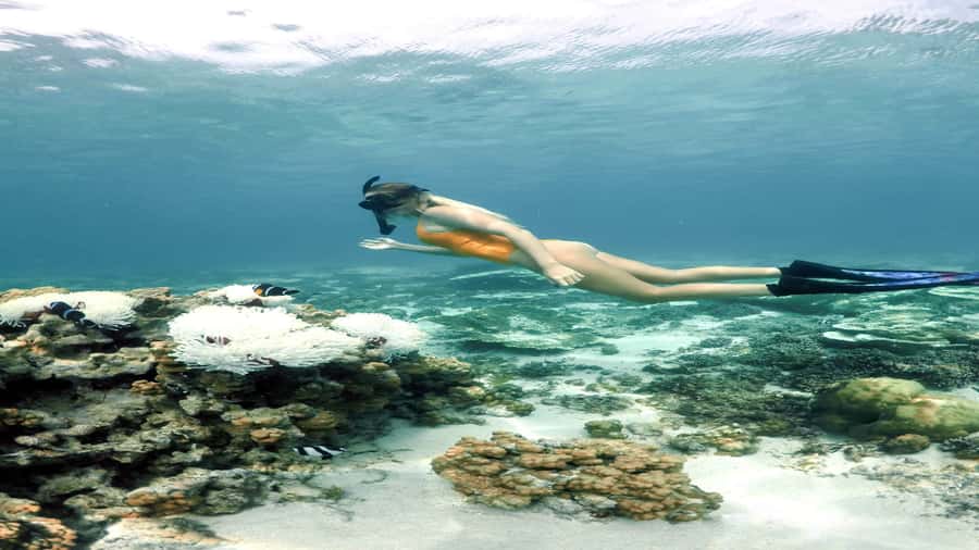 5 Islands Private Speedboat w/ Snorkeling + Lunch & Drinks - How the nine-hour schedule affects value