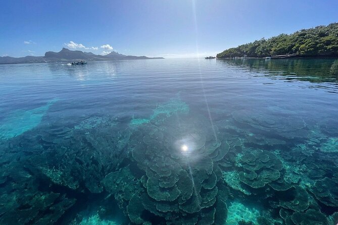5 Islands Private Speedboat with Snorkeling Lunch and Drinks - Île aux Aigrettes and a swim with starfish
