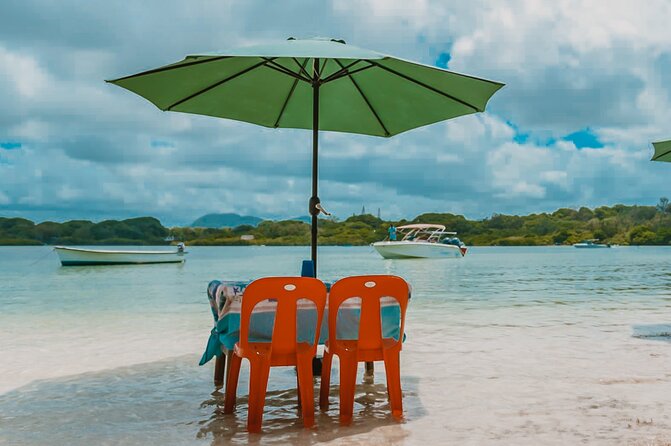5 Islands Speedboat Cruise incl. Snorkeling in Blue Bay + Lunch at Ile aux Cerfs - Ile aux Aigrettes and the short refreshment stop
