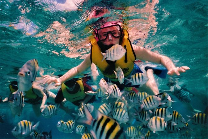 5 Islands Speedboat Cruise incl. Snorkeling in Blue Bay + Lunch at Ile aux Cerfs - Ile de la Passe and the Battle of Grand Port