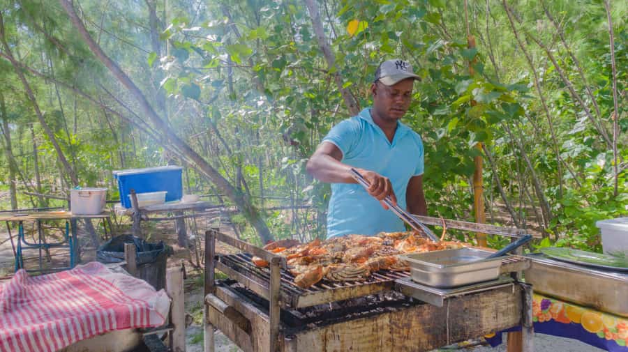 5 Islands Speedboat Cruise, Snorkeling + Lunch & Open Bar - Grand River South East Waterfalls by boat