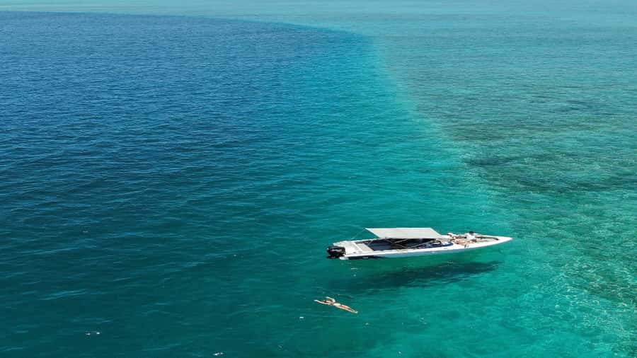 5 Islands Speedboat w/Snorkeling Sea Turtle + Lunch & Drinks - Grand River South East and the Waterfall