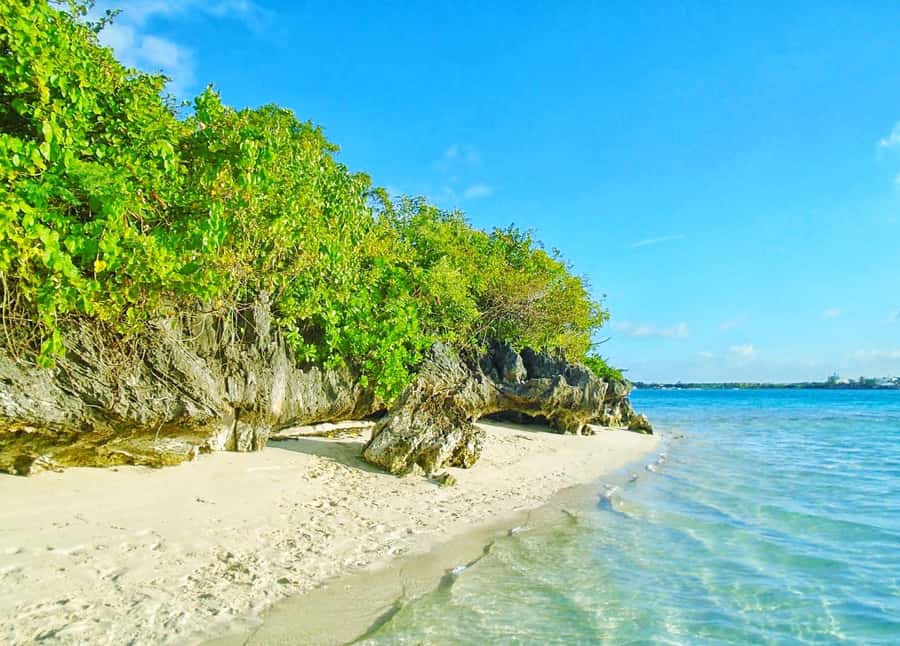 5 Islands Trip & Ile aux Cerfs inc Lunch, Drinks & Transport - Fouquets Island and the Grand River Southeast waterfall
