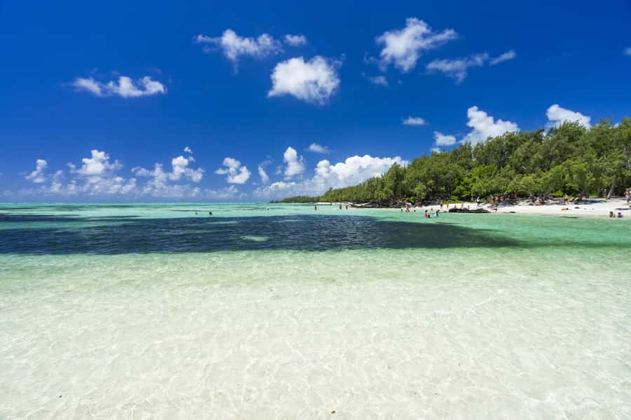 5 Islands Trip & Ile aux Cerfs inc Lunch, Drinks & Transport - Pickup, language, and the practical rhythm