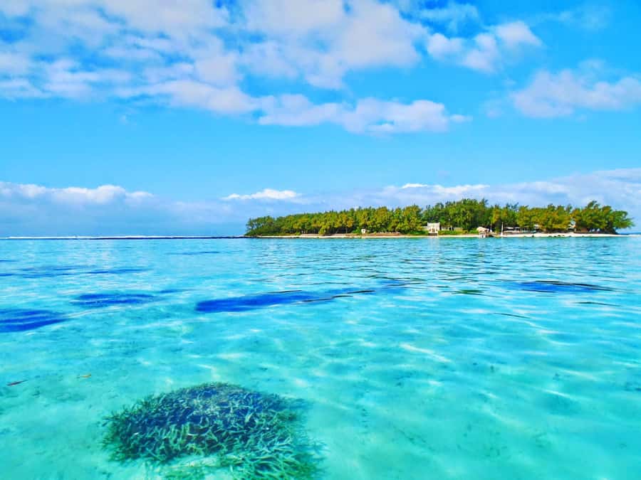 5 Islands Trip & Ile aux Cerfs inc Lunch, Drinks & Transport - Who gets the best value from this trip