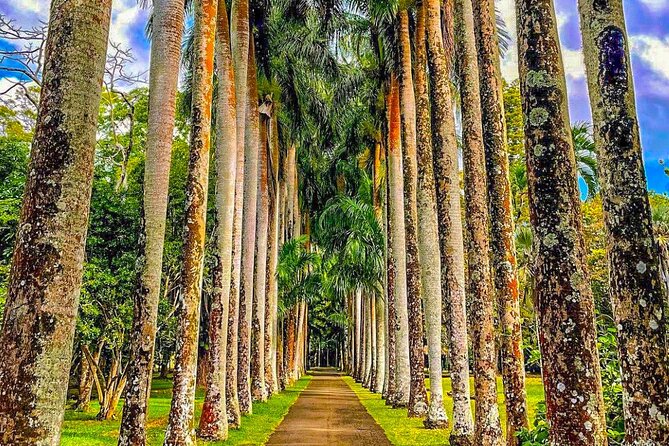 8-Hour Private City and North Tour in Mauritius - Pamplemousses Botanical Garden: 90 minutes among rare plants