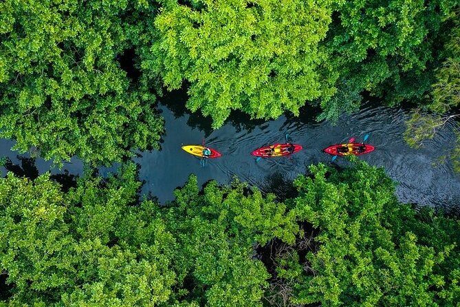 Afternoon Guided Kayak Activity on the Tamarin River - Key points to know before booking