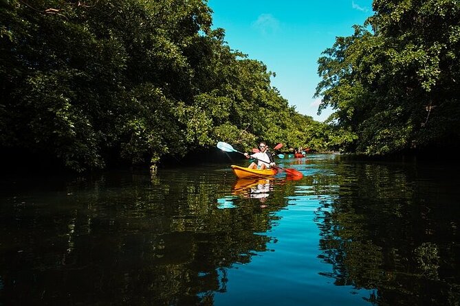 Afternoon Guided Kayak Activity on the Tamarin River - Is $49.40 good value?