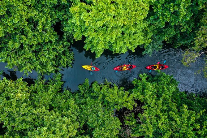 Afternoon Guided Kayak Tour on the Tamarin River - Why the Tamarin River makes a good afternoon outing