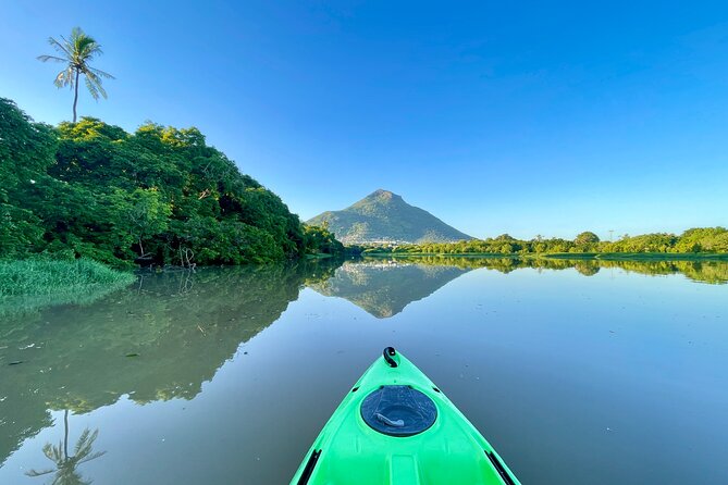 Afternoon Guided Kayak Tour on the Tamarin River - Watching the afternoon light from the water