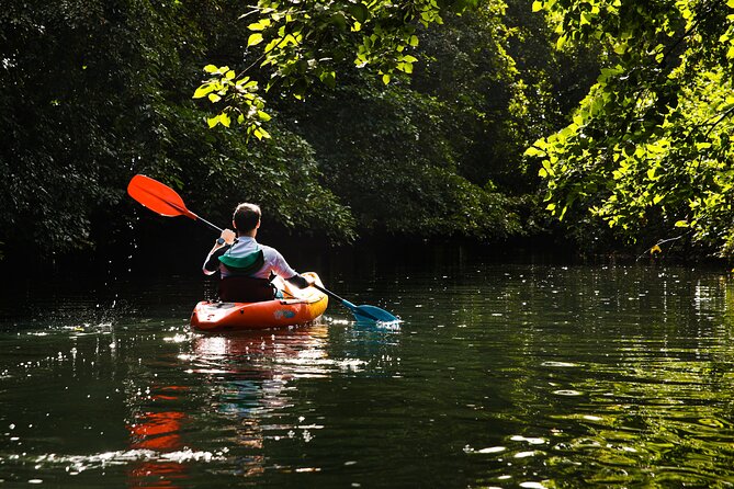 Afternoon Guided Kayak Tour on the Tamarin River - Is $48.85 a fair price?