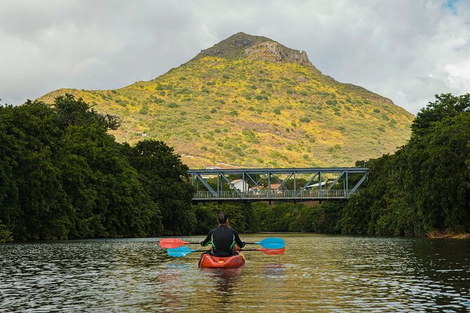 Afternoon Guided Kayak Tour on the Tamarin River - Who will enjoy this kayak tour most?