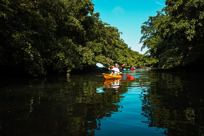 Afternoon Guided Kayak Tour on the Tamarin River - Meeting at Tamarin Bay Surfschool