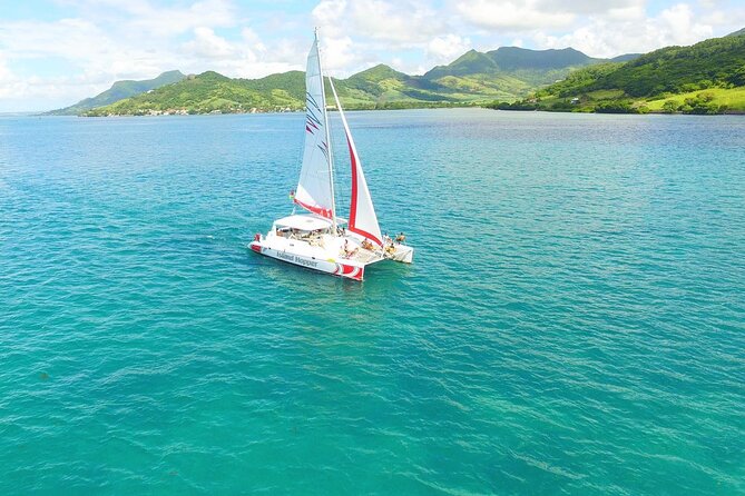 All inclusive CATAMARAN with BBQ : Ile aux cerf & GRSE waterfall - BBQ lunch, dessert, and drinks on board