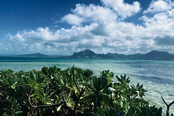 An Excursion of the South East Lagoon of Mauritius - A Short Boat Trip Into Mauritius’ Southeast Lagoon