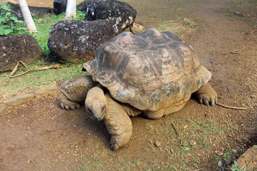 Animal & Nature Parks, Private Tour - Key points to know before booking