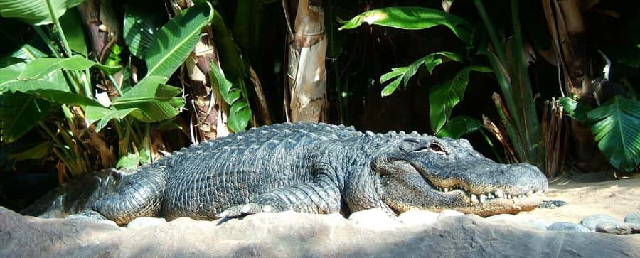 Animal & Nature Parks, Private Tour - Why this tour makes sense for one busy day