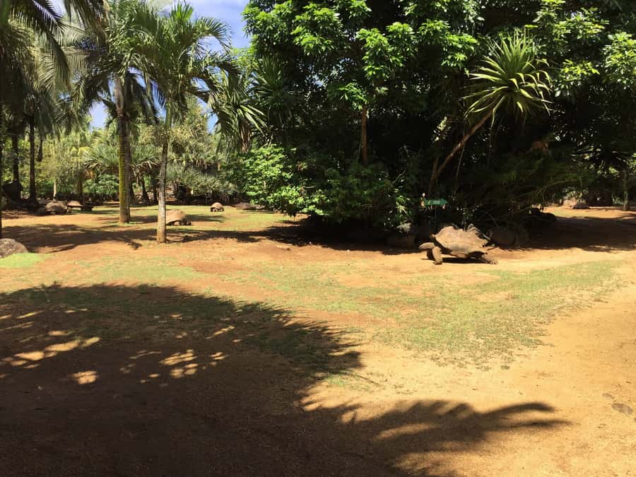 Animal & Nature Parks, Private Tour - Who will enjoy this southern Mauritius tour