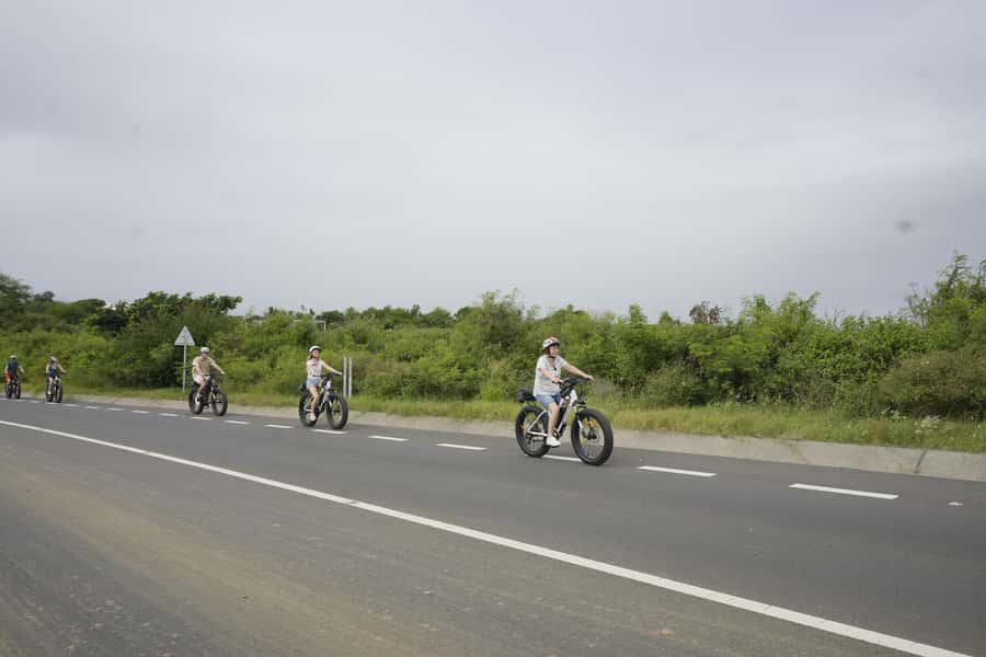 Authentic North East Coast E-bike Guided Tour - What the five-hour schedule feels like