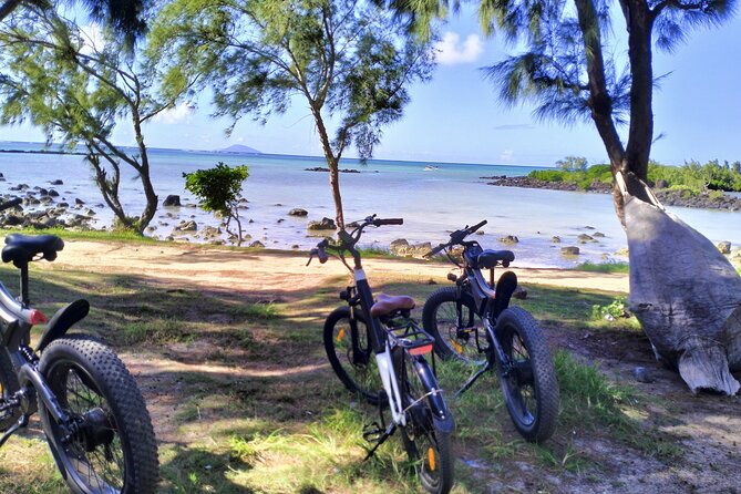 Authentic North East Coast E-bikes Guided Tour - Is $116 good value for five hours?