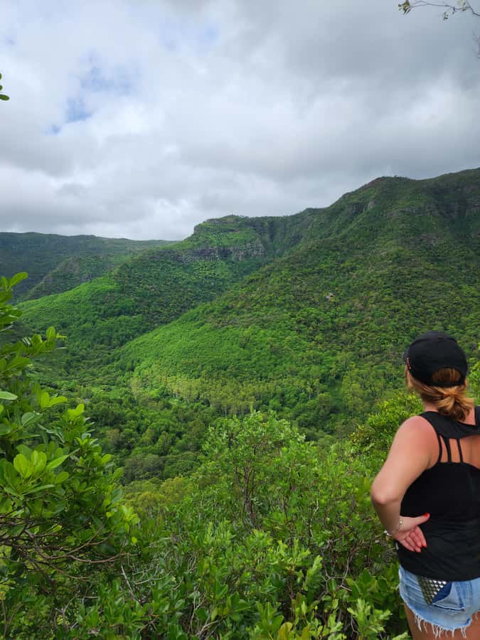 Black River: Guided Hike in the Black River Gorges Valley - What the Black River Gorges hike is really like