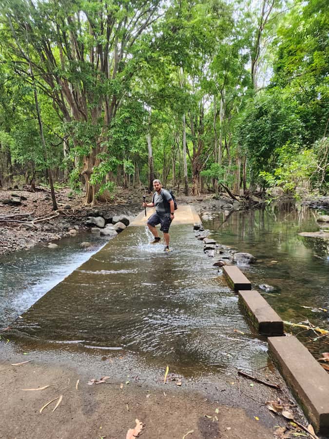 Black River: Guided Hike in the Black River Gorges Valley - The uphill section requires honest preparation