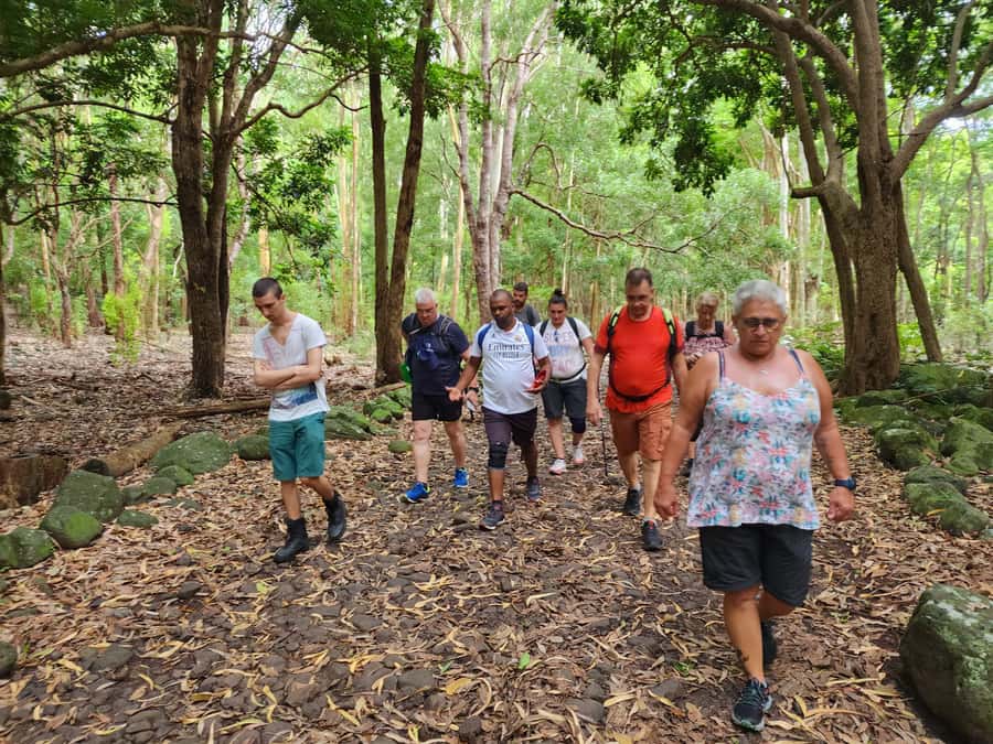 Black River: Guided Hike in the Black River Gorges Valley - What is included for $76