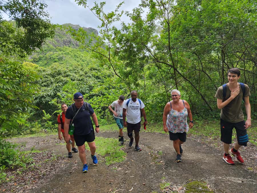 Black River: Guided Hike in the Black River Gorges Valley - Starting with forest air and mountain views
