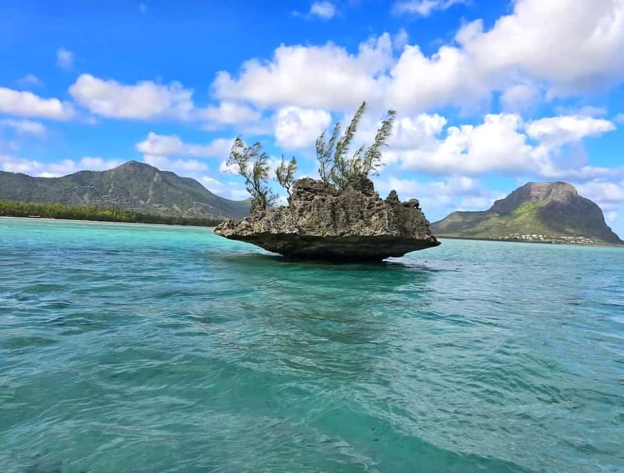 Black River: Swim with Dolphin Speed Boat Tour with lunch - Starting at Flic en Flac Public Beach