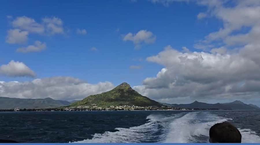 Black River: Swim with Dolphin Speed Boat Tour with lunch - The three-course BBQ lunch