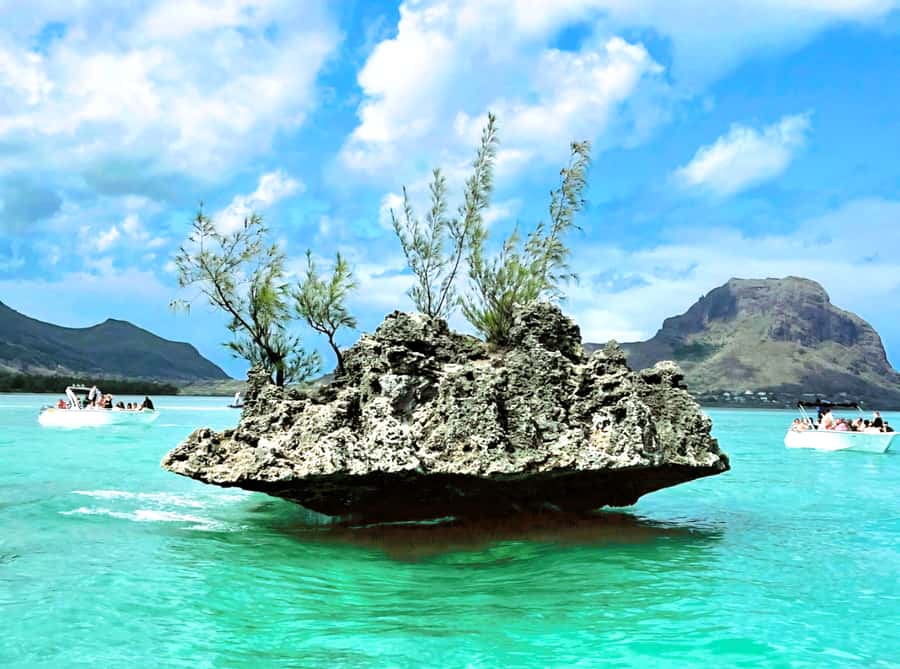 Black River: Swim with Dolphin Speed Boat Tour with lunch - The $74 question: is it good value?