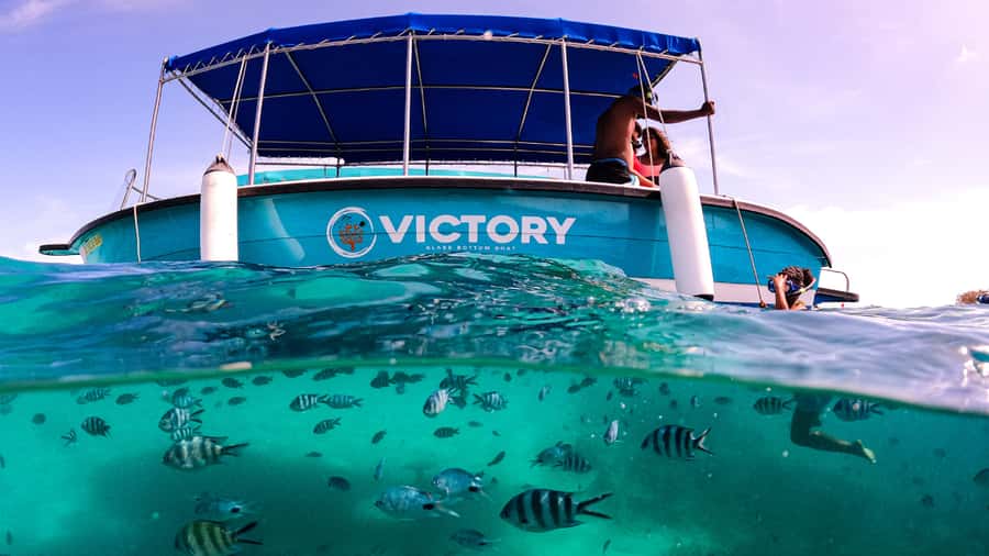 Blue Bay: Blue Bay Glass Bottom Boat Visit and Snorkeling - Is $28 good value?