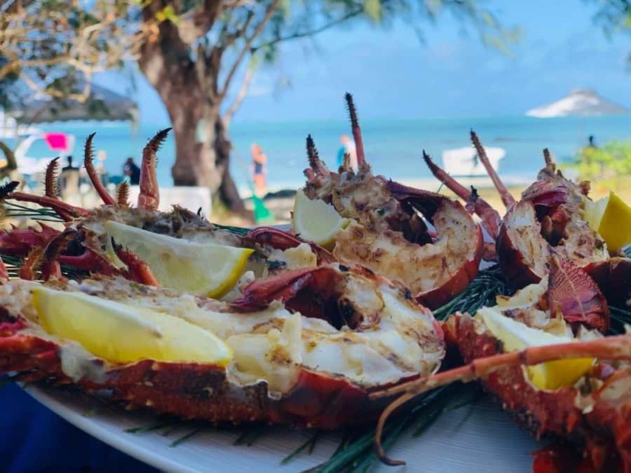 Blue bay: boat trip for ile au cerf (5 islands, barbecue) - Who should book this outing