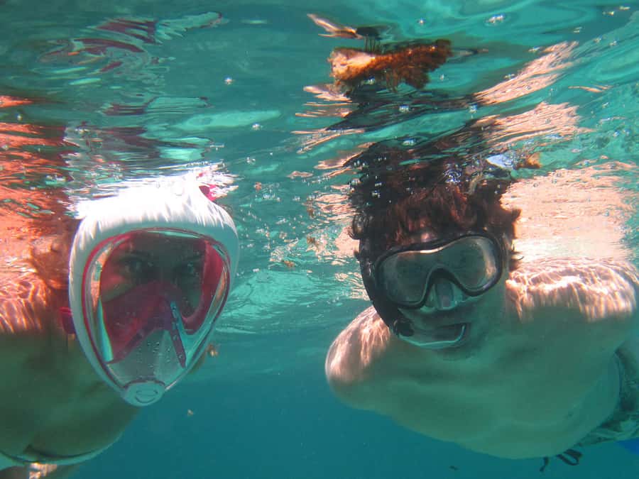 Blue Bay: Half-Day Snorkeling Trip with Creole Picnic Lunch - Why Blue Bay Marine Park works so well for a half-day outing