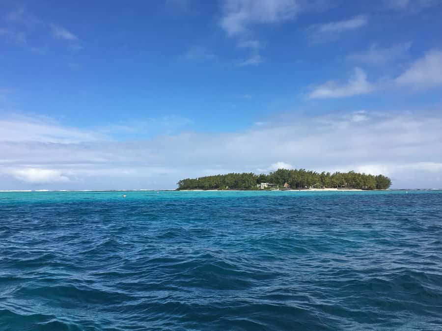Blue Bay: Half-Day Snorkeling Trip with Creole Picnic Lunch - Beach time and the second reef stop