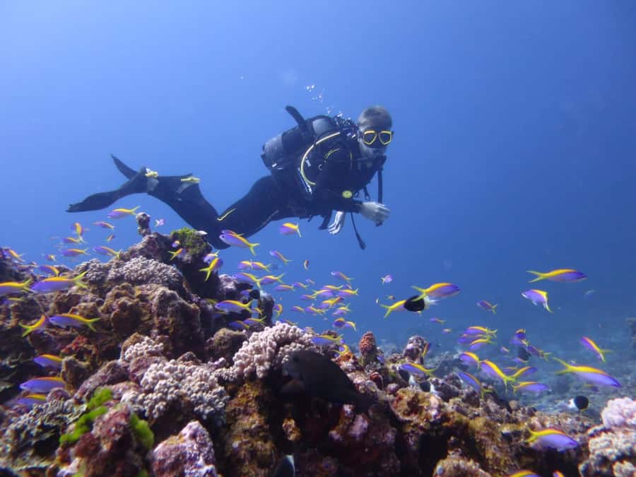 Blue Bay: LEARN TO DIVE TODAY with CORAL DIVING Team - Health rules, age limits, and paperwork