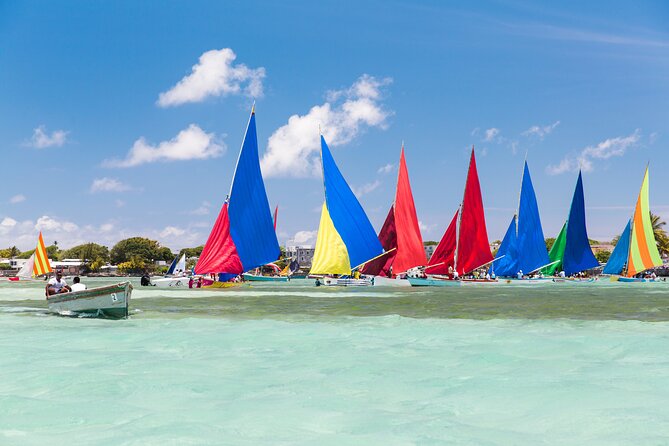 Car Hire for a Day with Driver - 8 Hours - Exploring Mauritius through culture and faith