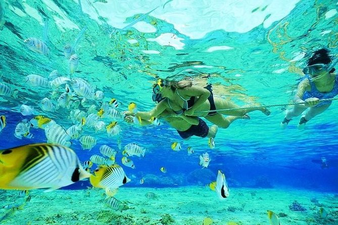 Catamaran Adventure Full Day: Ile aux cerfs,GRSE Waterfall,Snorkeling &BBQ Lunch - Who will get the most from this cruise