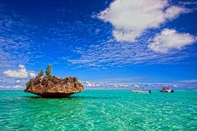 Catamaran Cruise to Ile Aux Bénitiers: Dolphin watch, Crystal Rock & Transfer - Beach time on Ile Aux Bénitiers