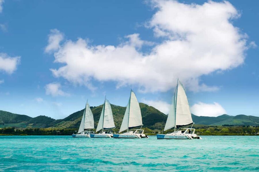 Catamaran Cruise to île aux Cerfs w Dolphins watch & Lunch - Watching dolphins where they live