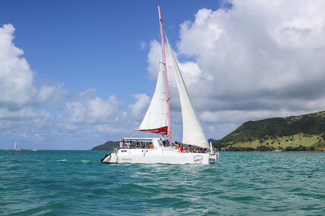 Catamaran cruise to Ile aux cerfs with bbq lunch - Key things to know before you go