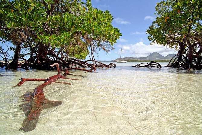 Catamaran Experience to Ile aux cerf: incl: Parasailing, Lunch, GRSE & Transfer - Starting in Trou d’Eau Douce at 7:00 a.m.